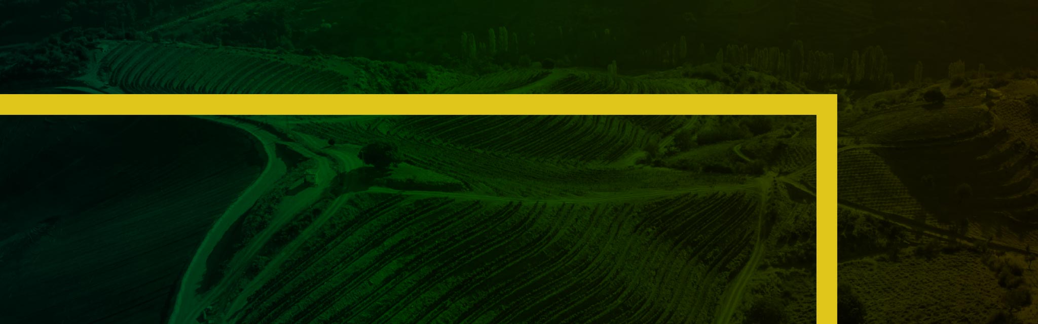 HG skouries header